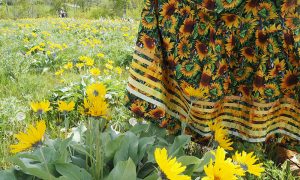 UBCO adds Indigenous Knowledges theme to Interdisciplinary Graduate Studies programs